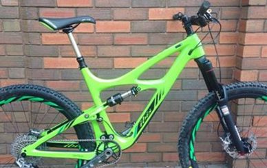 custom-ibis